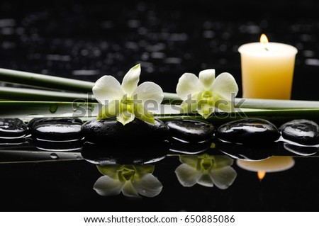 still life with pebbles and two orchid ,candle,plant