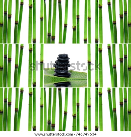 Collage of with young bamboo sticks with stacked stones with leaf
