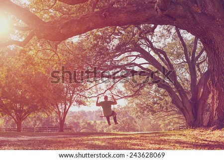 Man swinging from a large live oak tree branch in the countryside looking serene peaceful calm relaxing beautiful whimsical happy dreamy romantic with a retro vintage lens flare and light leak filter