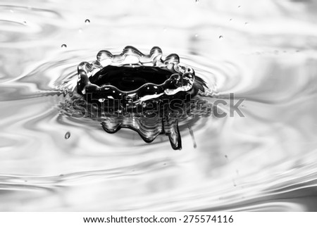 Single solitary drip drop splash of water into reflective colorful calm puddle pool in monochrome or black and white