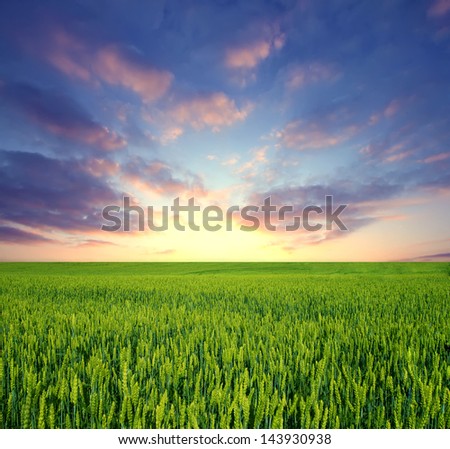 Green field and sunrise sky as background