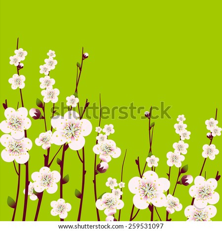 Raster spring  apricot blossoming branch on bright green background
