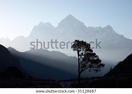 Lone tree at sunrise, Himalayas, Nepal