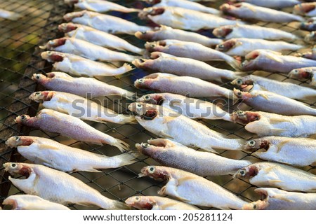 stockfish, norvegian dried cod fish Norwegian traditional drying