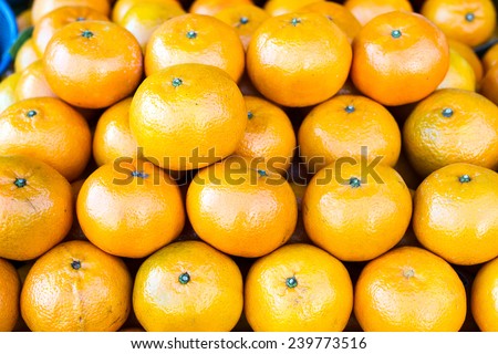 Mandarin orange ,Citrus reticulata Blanco, RUTACEAE,  many Mandarin orange