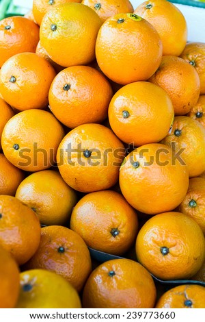 Mandarin orange ,Citrus reticulata Blanco, RUTACEAE,  many Mandarin orange