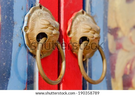 Chinese art opened doors An animal face