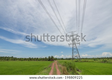 electricity post  Location through the rice fields, gives energy to the community.