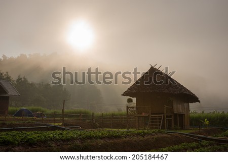 Rustic Farmhouse in the morning haze.