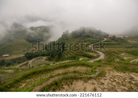 Fog in the valley and the rice harvested in Sapa, Vietnam.