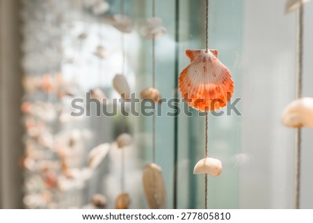 Sea shells Used to make curtains, blinds to decorate the place.