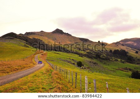 Rural countryside in New Zealand