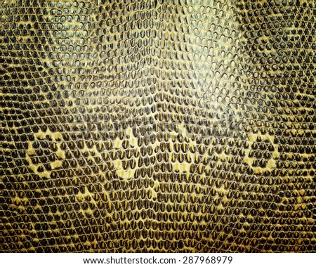 Reptile skin,snake skin  background.