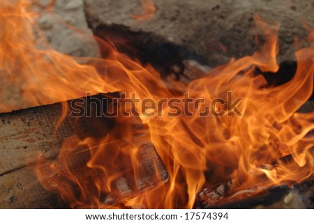 Burning wood in campfire flame
