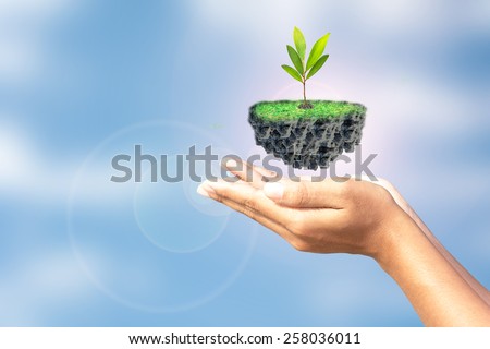 We love the world of ideas, man planted a tree in the hands