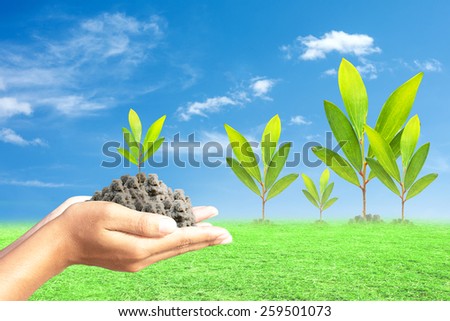 Hand holding green seedling with soil