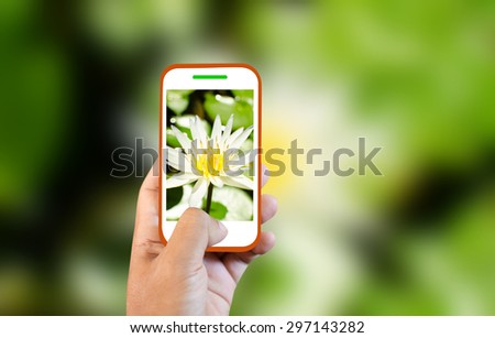 Mobile photography Lotus