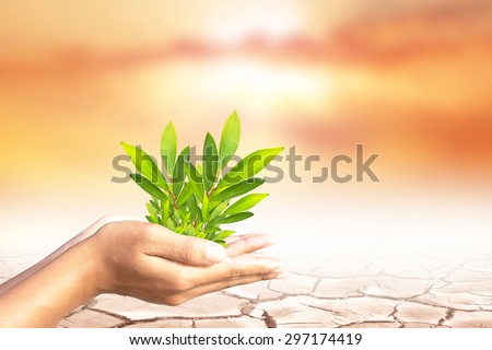 We love the world of ideas, man planted a tree in the hands