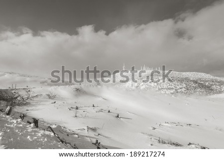Landscape with snow, located in Mount Parnitha, Athens, Greece, in the part where  a burnt forest is.