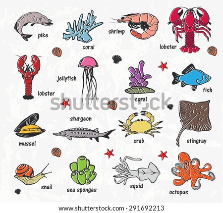 Vector colorful sea world icons. Mediterranean design. Underwater wildlife shapes. Ocean animals - fish octopus shrimp crab lobster mussel pike jellyfish snail skate sturgeon stingray squid coral pike