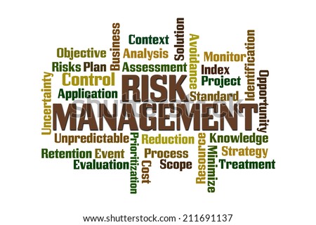 Risk Management word cloud on white background