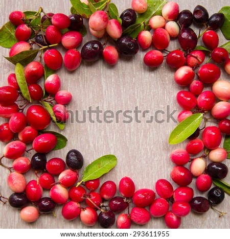 Fresh ripe and young carissa carandas fruits frame on wooden table