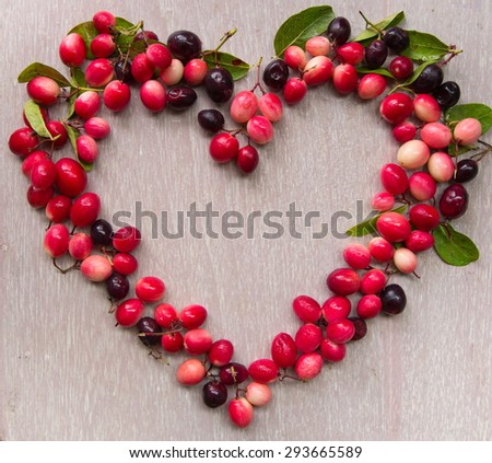 Carissa carandas fruits in heart frame style decorated on wooden table