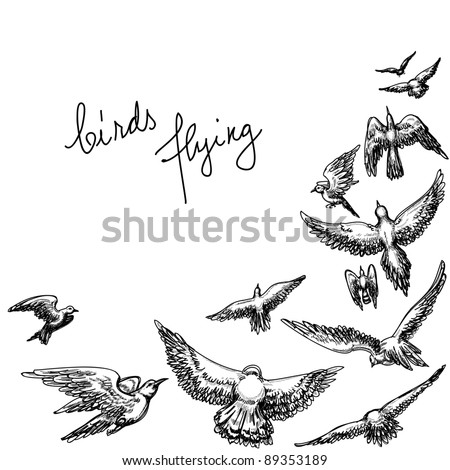 Flying Bird Sketch
