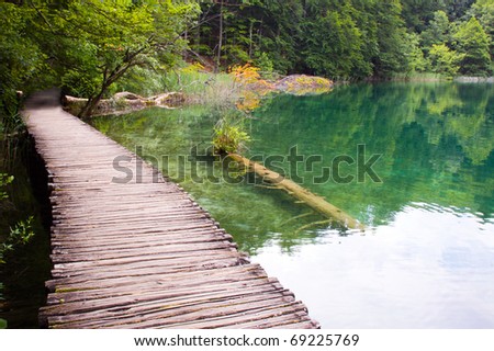 Wooden Path