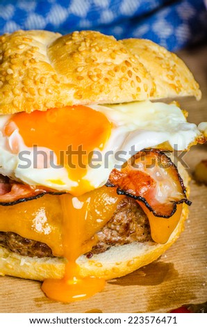Homemade burger with fried egg and spicy fries on wood board