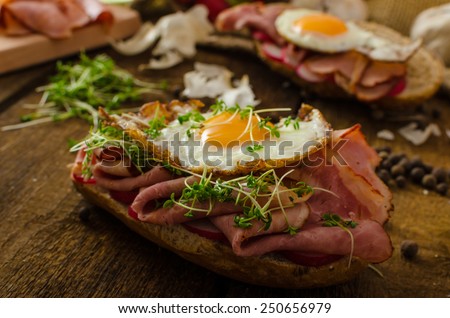 Smoked ham sandwich, rustic bread with bulls-eye egg, microgreens and fresh radish
