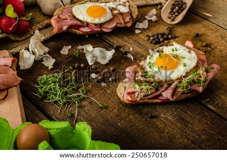 Smoked ham sandwich, rustic bread with bulls-eye egg, microgreens and fresh radish