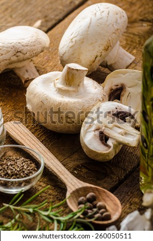 Bio garlic, spices and wild mushrooms from the home garden, olive oil, simple composition