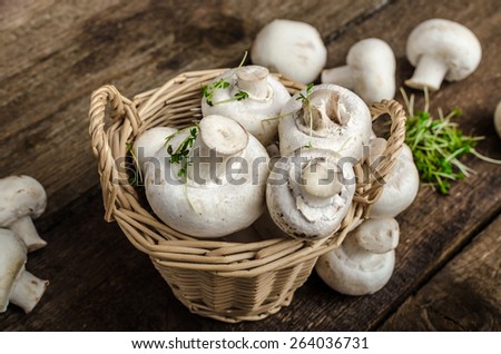 Mushrooms raw,  fresh and bio, simple product photo
