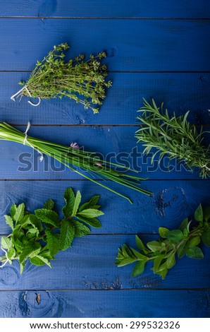 Fresh herbs from the organic garden, ready for advertising