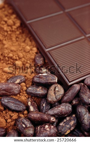 Bar of chocolate, cocoa beans , cocoa powder