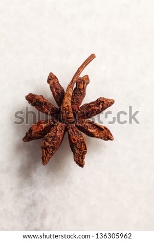 back view of the anise star