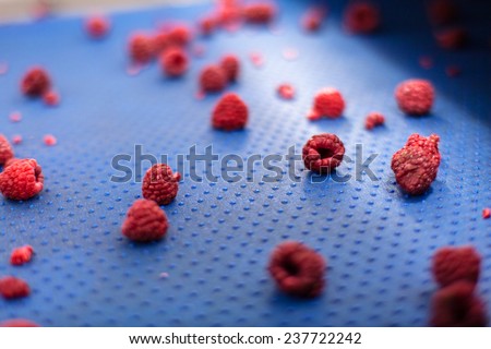 frozen red raspberries in laser sorting and processing machines