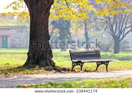 Bench under the tree in the Kalemegdan park, Belgrade Serbia