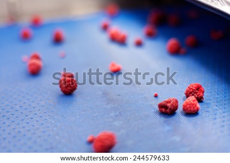 frozen red raspberries in laser sorting and processing machines, notice shallow dept of field