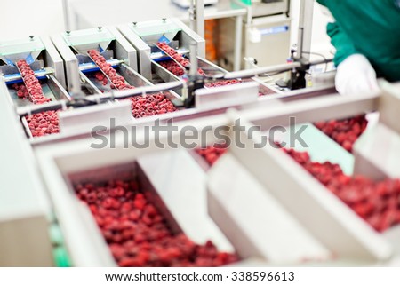 frozen red raspberries in sorting and processing machines