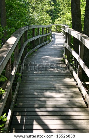 A curved boardwalk hiking trail through the woods