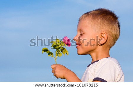 Boy smelling rose flower in spring day.