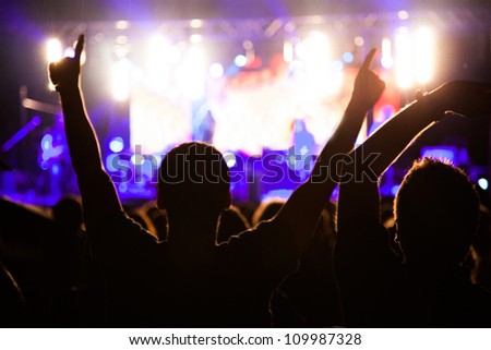 Crowd of fans at night concert