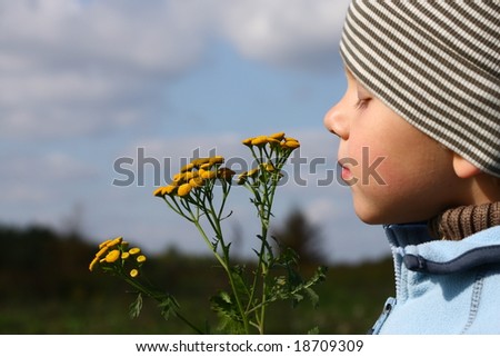 3 years old boy smelling autumnal flower outdoors