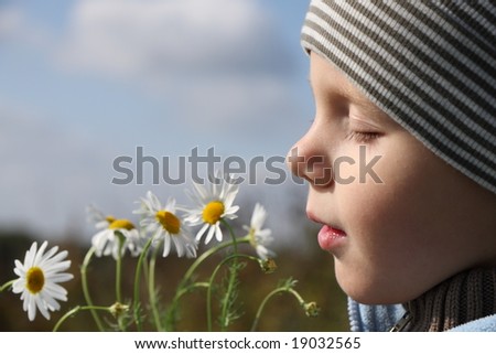 3 years old boy smelling chamomile flower outdoors