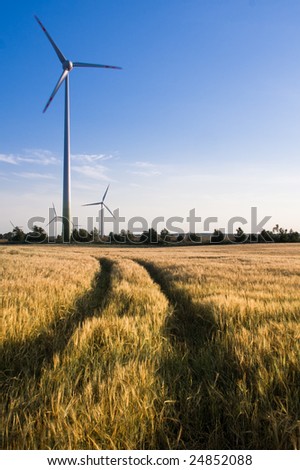 A short path to alternative energy. Wind turbines on a wheat field