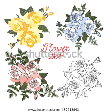set of flower rose in different color,outline