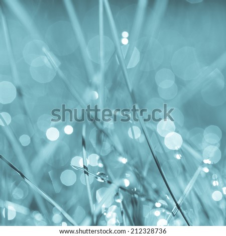 Abstract natural background. Fresh spring grass with drops on natural defocused light green background. Retro filtered.