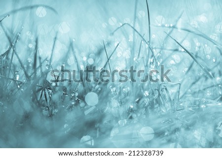 Abstract natural background. Fresh spring grass with drops on natural defocused light green-blue background. Retro filtered.